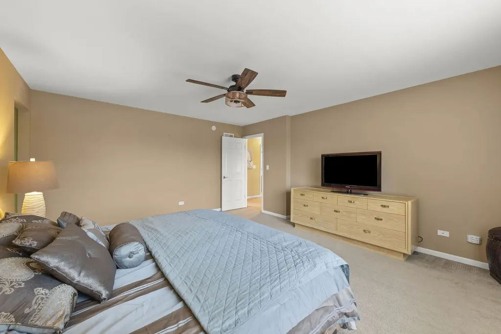 13521 Arborview Circle Plainfield IL 60585