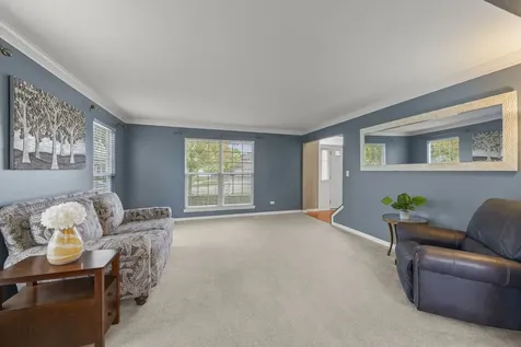 13521 Arborview Circle Plainfield IL 60585