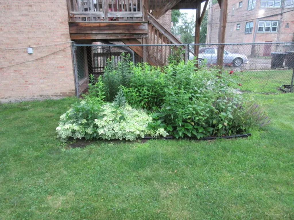 1449 - 51 West Garfield Boulevard Chicago IL 60636