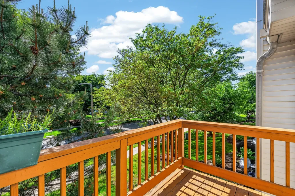 24038 West Walnut Circle Plainfield IL 60585