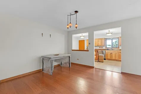 11030 South Theresa Circle Palos Hills IL 60465