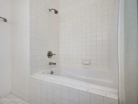 910 South Michigan Avenue Chicago IL 60605