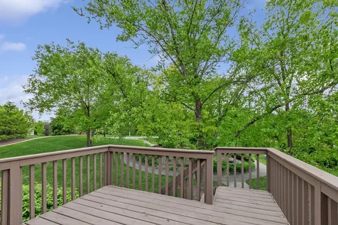 11135 Shenandoah Drive Orland Park IL 60467