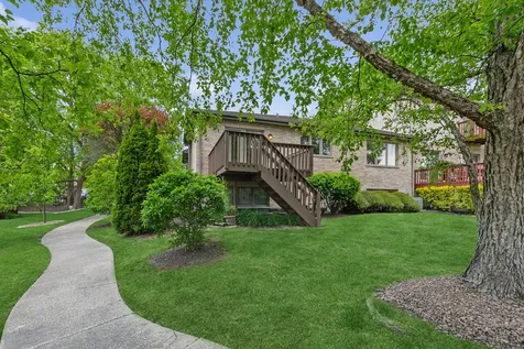 11135 Shenandoah Drive Orland Park IL 60467