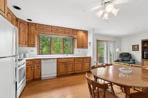 11135 Shenandoah Drive Orland Park IL 60467