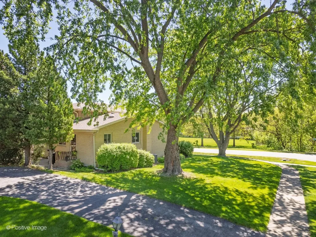 534 East Foster Avenue Roselle IL 60172