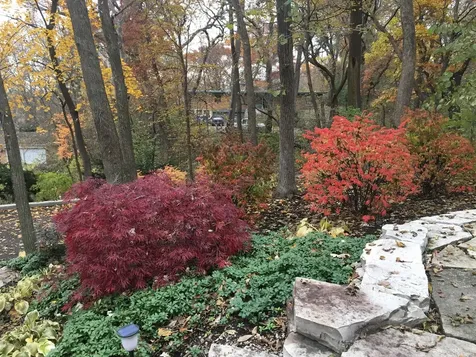 501 Glenwood Trail Elgin IL 60120