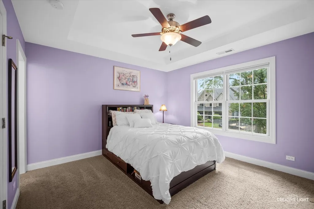 706 Wehrli Drive Naperville IL 60540