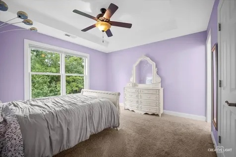 706 Wehrli Drive Naperville IL 60540