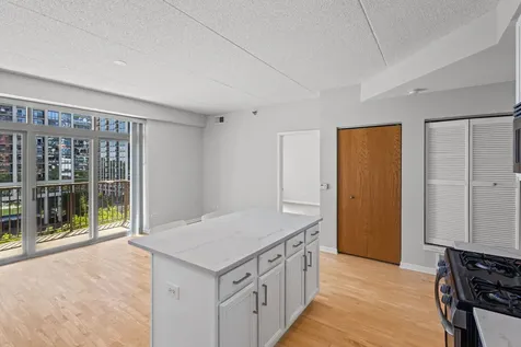 1250 South Indiana Avenue Chicago IL 60605