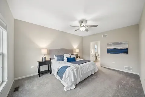 807 Alexandra Lane Yorkville IL 60560