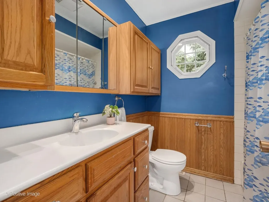 113 North Oak Street N Elmhurst IL 60126