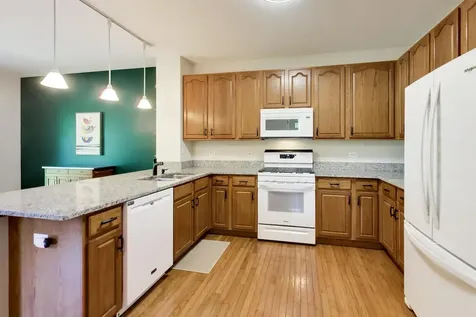 557 Shakespeare Drive Grayslake IL 60030