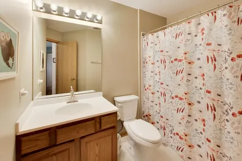 557 Shakespeare Drive Grayslake IL 60030