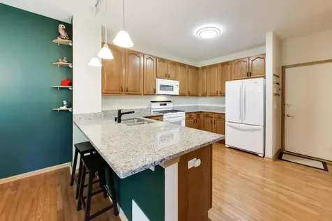 557 Shakespeare Drive Grayslake IL 60030