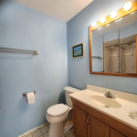 402 Honey Locust Drive Wheeling IL 60090