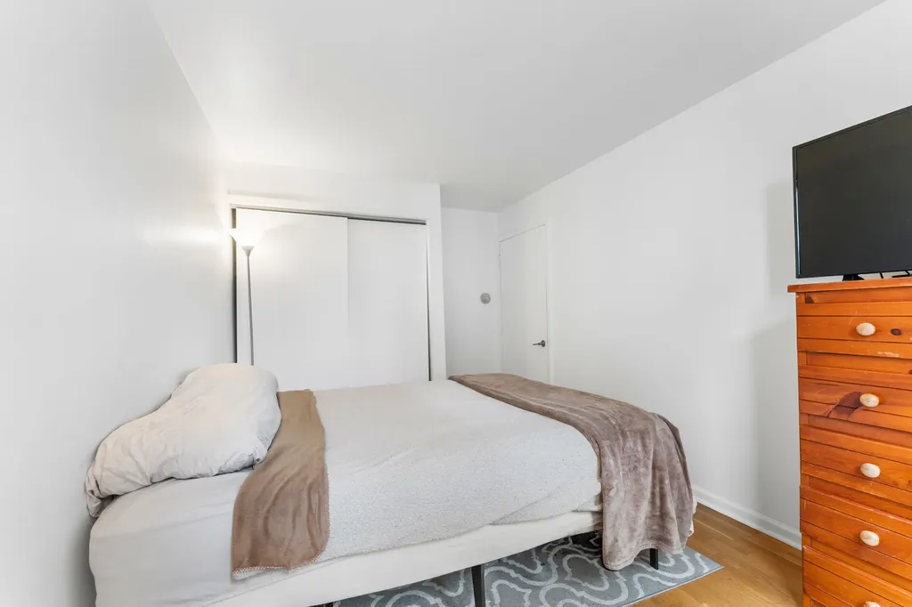 850 North Dewitt Place Chicago IL 60611