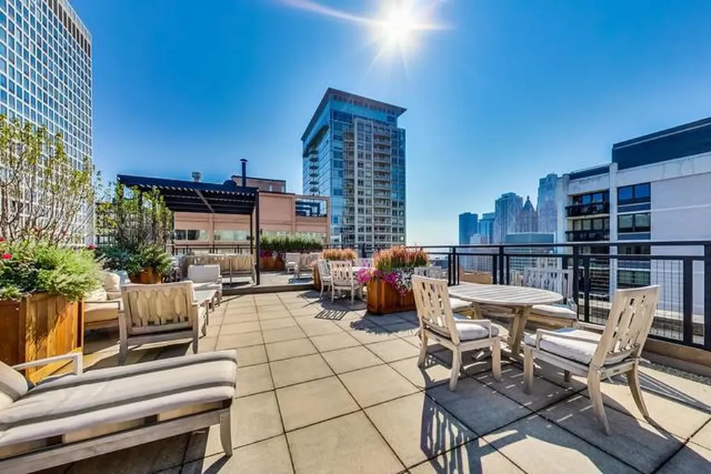 850 North Dewitt Place Chicago IL 60611