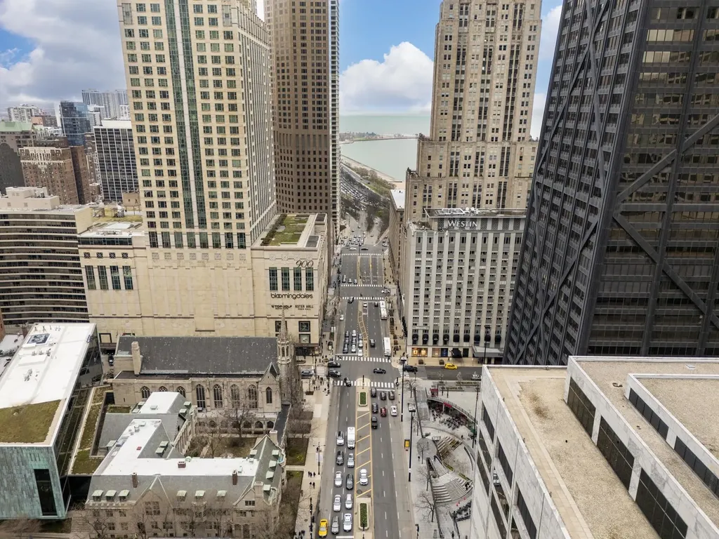850 North Dewitt Place Chicago IL 60611