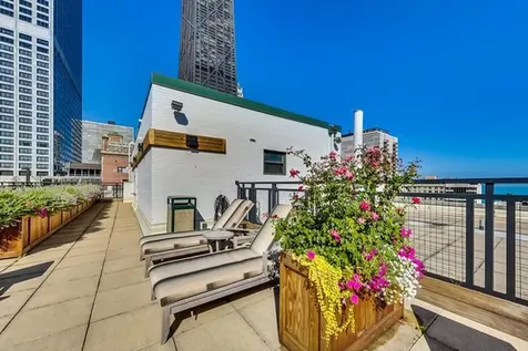 850 North Dewitt Place Chicago IL 60611