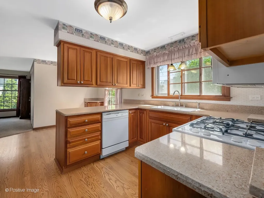 217 South Rex Boulevard Elmhurst IL 60126