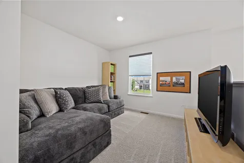 807 High Grove Drive Minooka IL 60447