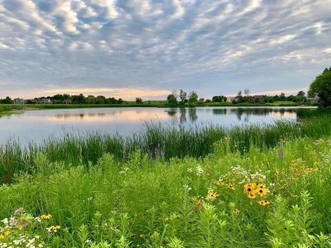 1329 Calamus Lane Grayslake IL 60030