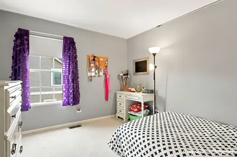 317 Talismon Drive Crystal Lake IL 60012