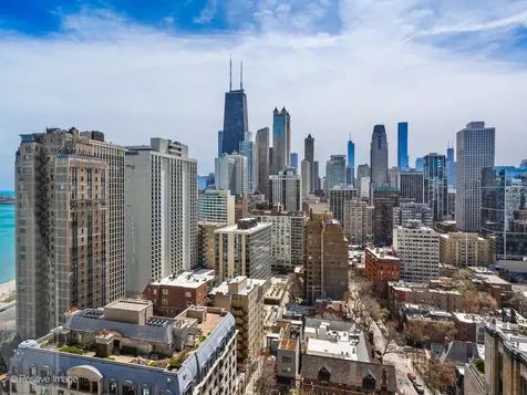 1310 North Ritchie Court Chicago IL 60610