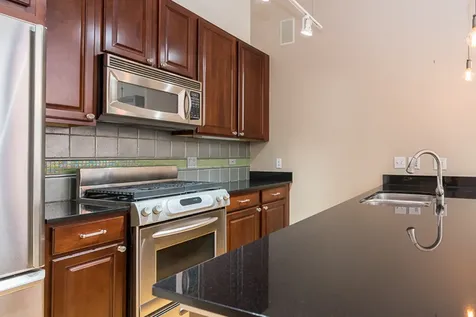 1735 North Paulina Street Chicago IL 60622