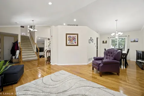 12208 South Shagbark Drive Plainfield IL 60585