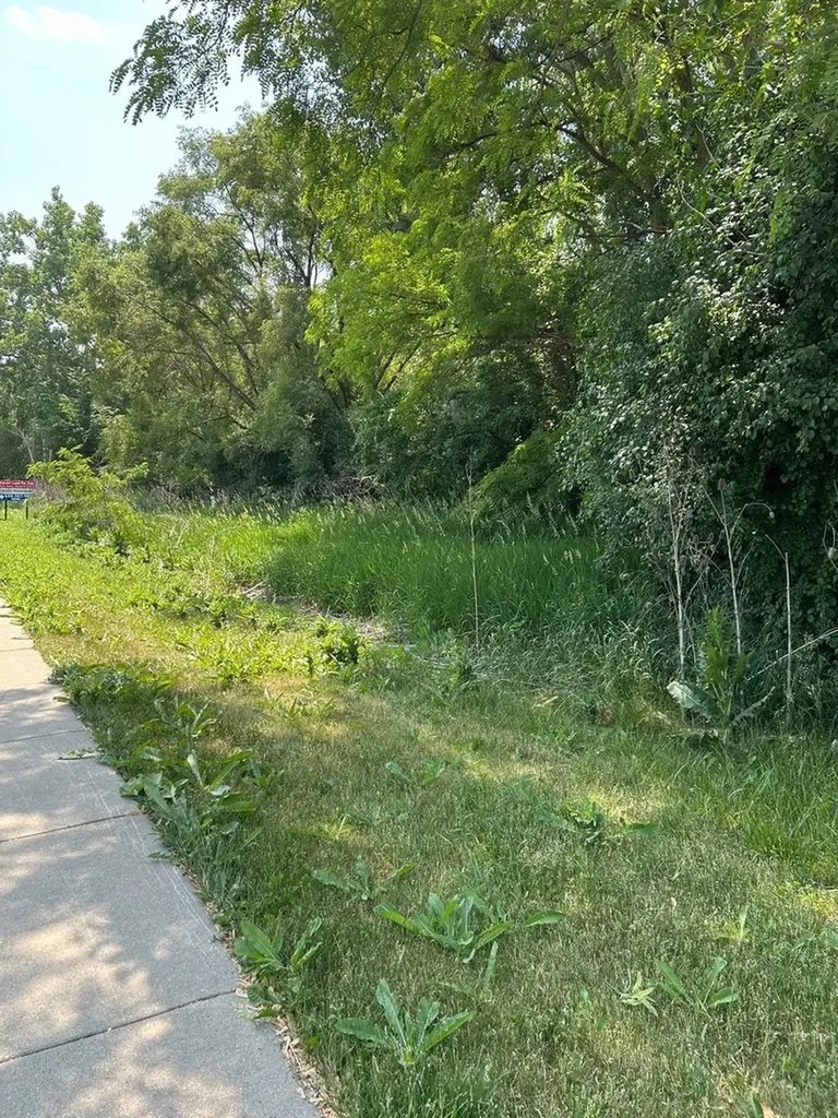 Lot Foster Avenue Roselle IL 60172