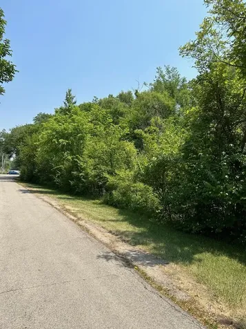 Lot Foster Avenue Roselle IL 60172