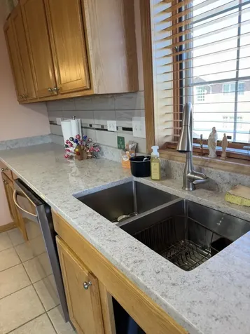 13149 Forest Ridge Drive Palos Heights IL 60463