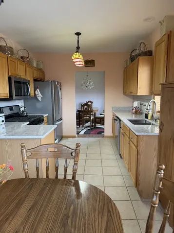13149 Forest Ridge Drive Palos Heights IL 60463