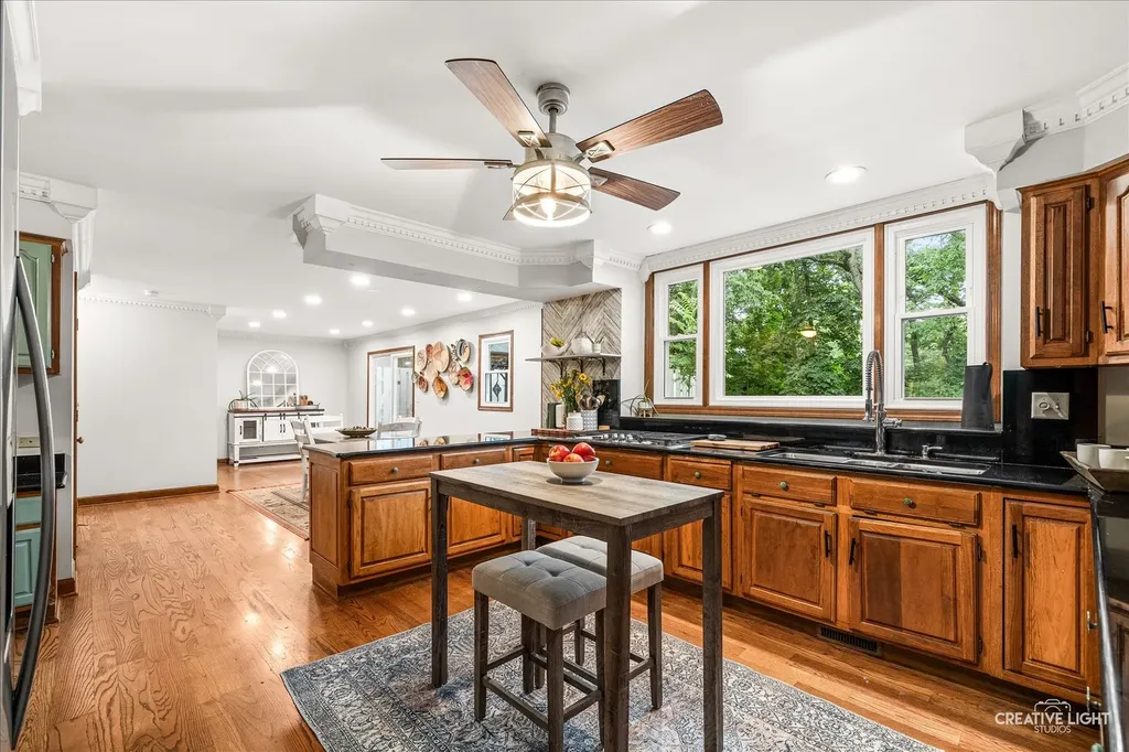 1196 Hobson Mill Drive Naperville IL 60540