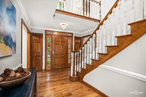 1196 Hobson Mill Drive Naperville IL 60540