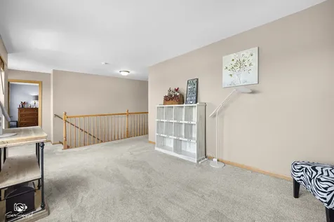 1014 Saddle Ridge Drive Joliet IL 60432