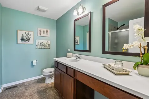 1716 Wentworth Drive Volo IL 60020