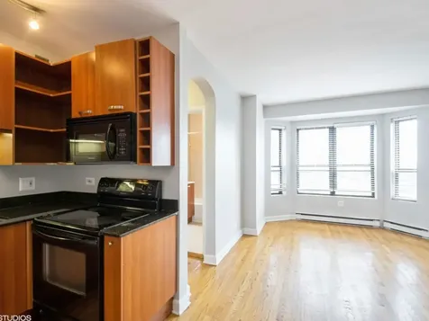 732 West Bittersweet Place Chicago IL 60613