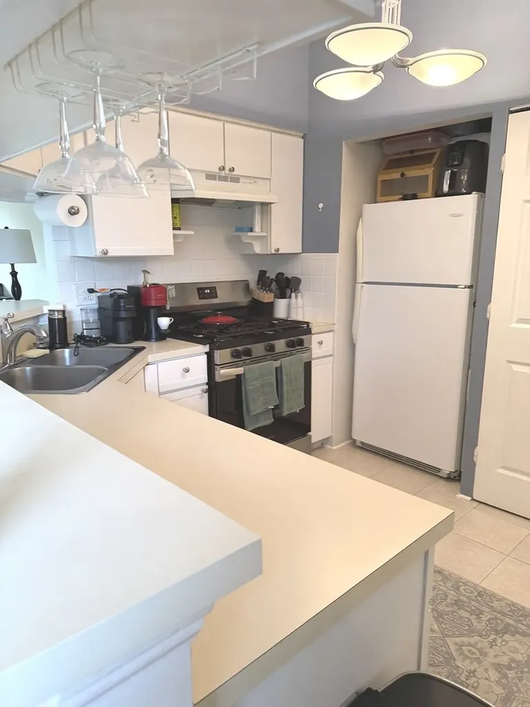 385 Sandhurst Circle Glen Ellyn IL 60137
