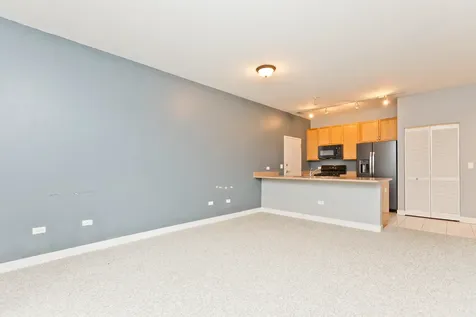 1515 South Halsted Street Chicago IL 60607