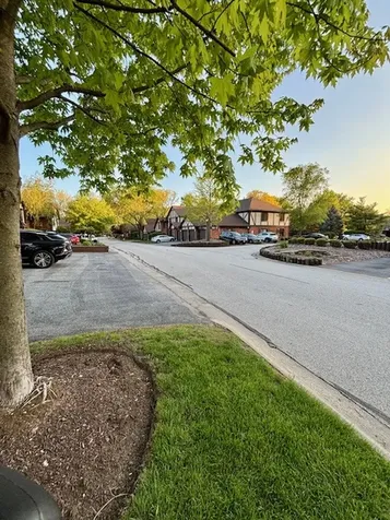 11151 Cottonwood Drive Palos Hills IL 60465