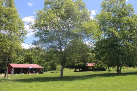 3042 Five Mile Creek Road Salem IL 62881