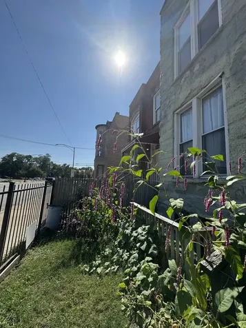 1132 South Sacramento Boulevard Chicago IL 60612