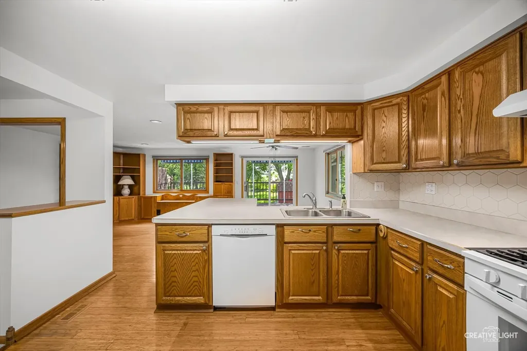 1129 Patricia Court Schaumburg IL 60193