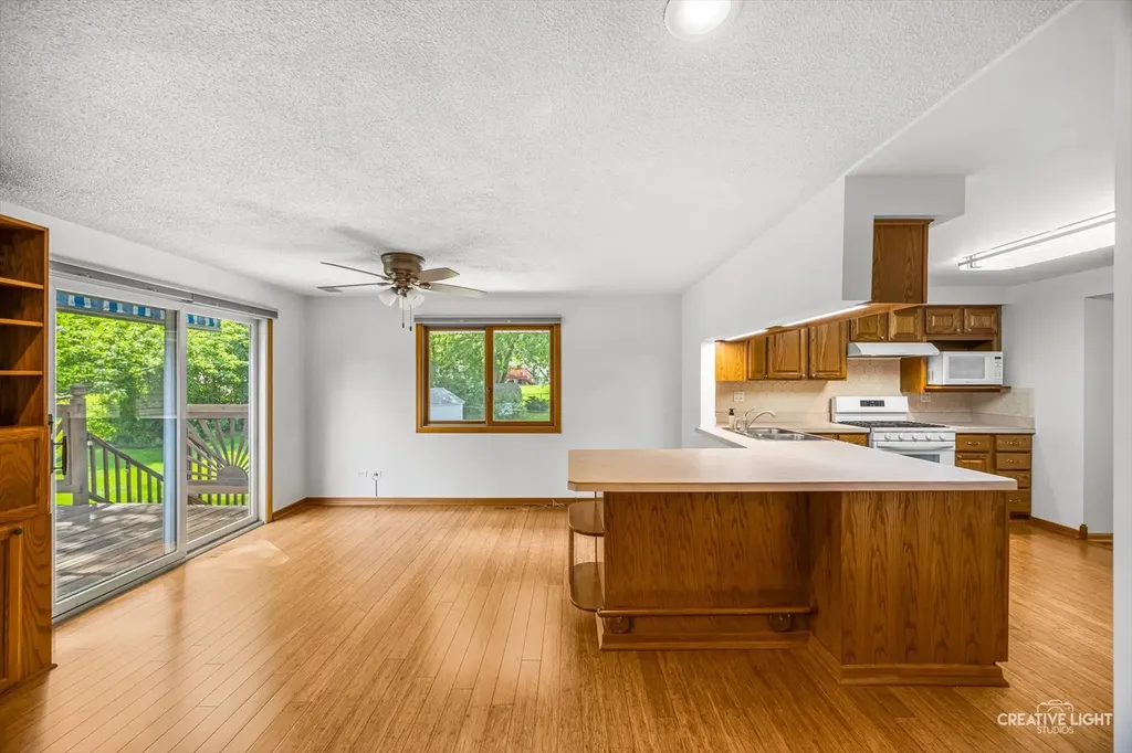 1129 Patricia Court Schaumburg IL 60193