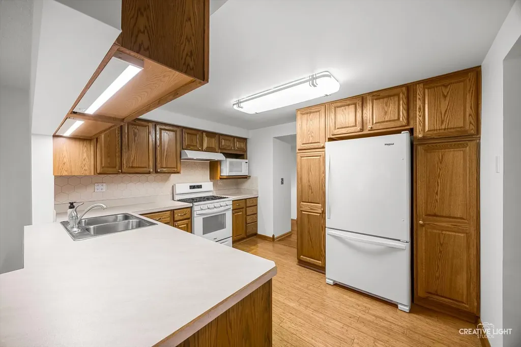 1129 Patricia Court Schaumburg IL 60193