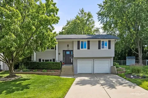 1129 Patricia Court Schaumburg IL 60193