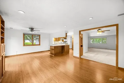 1129 Patricia Court Schaumburg IL 60193
